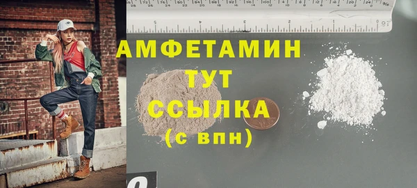 сатива Аркадак