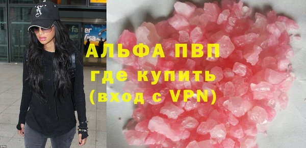 сатива Аркадак
