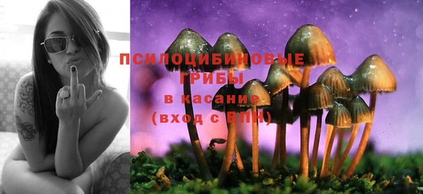 гашиш Арсеньев