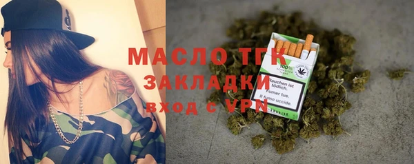 сатива Аркадак