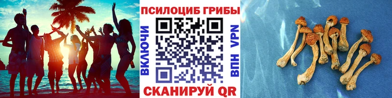 Галлюциногенные грибы GOLDEN TEACHER  Шацк 