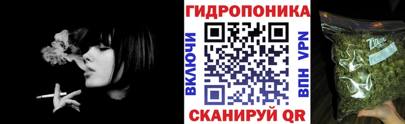 Марихуана семена  Шацк 